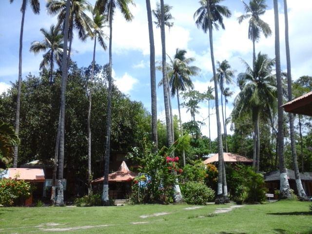 Punta Del Sol Araceli Beach Resort Samal Εξωτερικό φωτογραφία